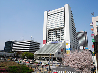 中野エリア